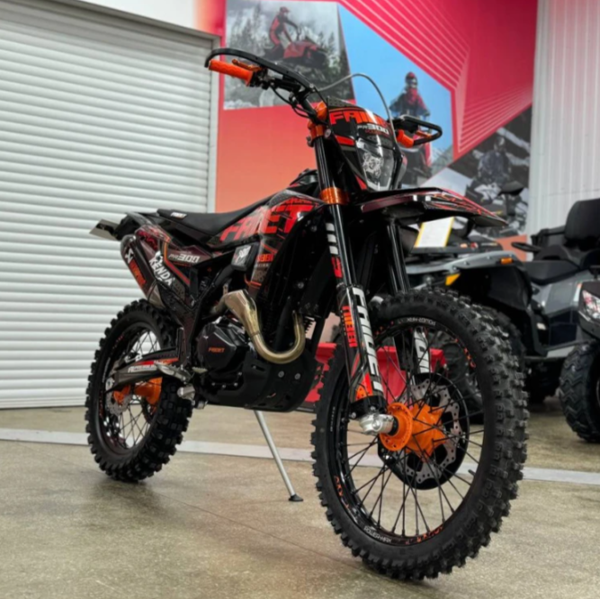 Кроссовый мотоцикл FAIDET PR300 MAX WP в Петропавловске-Камчатском