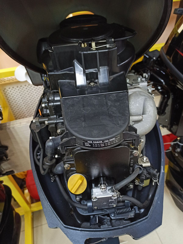 Лодочный мотор BREEZE F9,9S (4х тактный) в Петропавловске-Камчатском