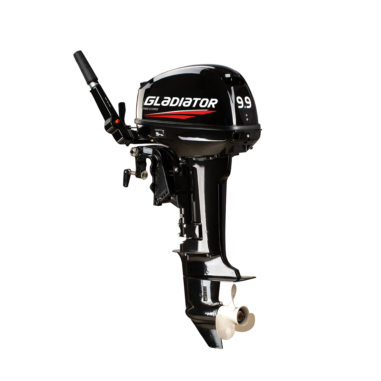 ЛОДОЧНЫЙ МОТОР GLADIATOR G9.9FHS в Петропавловске-Камчатском