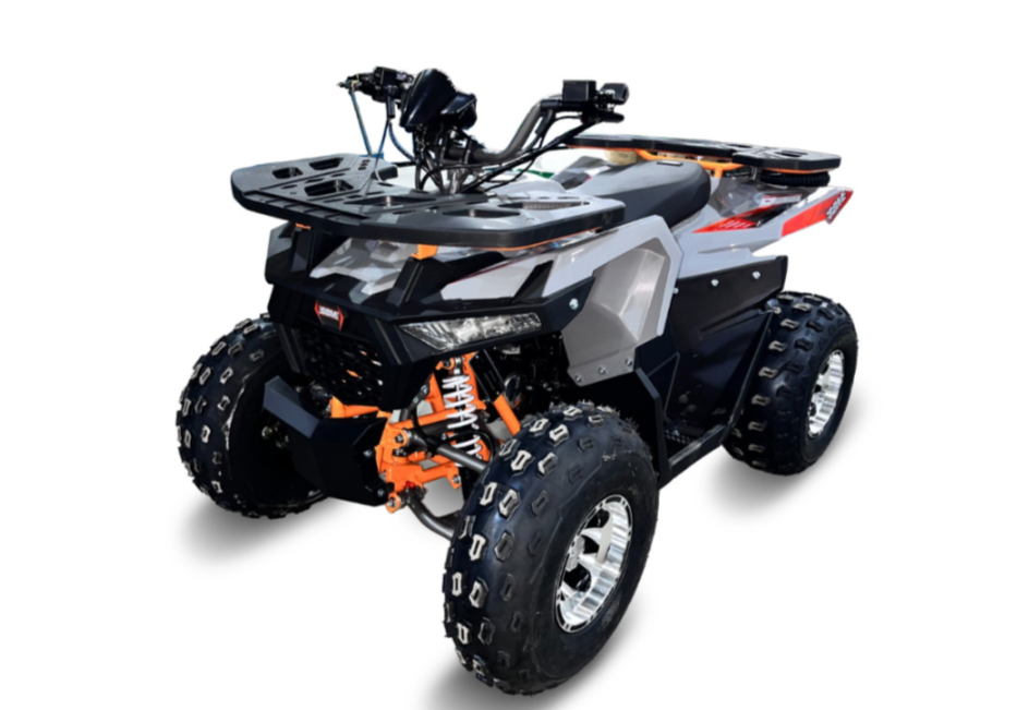 Квадроцикл GBM DAXTER 220 NEW PREMIUM в Петропавловске-Камчатском