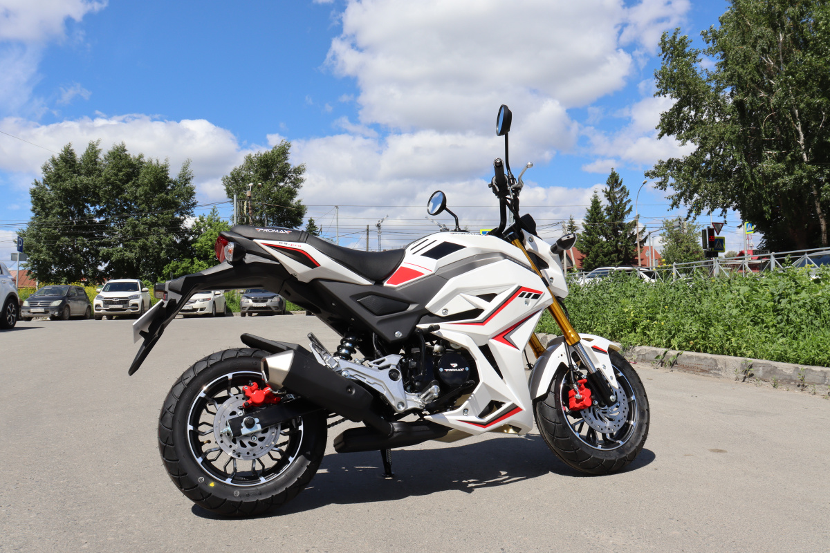 Мотоцикл PROMAX STRYKER 200(49) 2.0 в Петропавловске-Камчатском