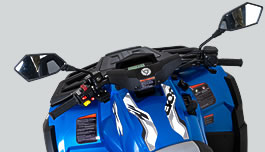 Квадроцикл РМ (Русская Механика) РМ 800 Т в Петропавловске-Камчатском