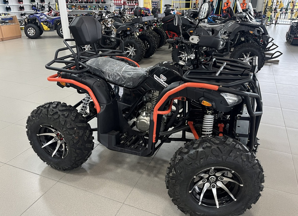 Квадроцикл PROMAX 300 4X4 ALL ROAD в Петропавловске-Камчатском