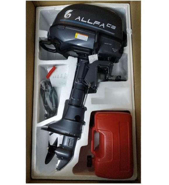 Лодочный мотор ALLFA CG F6 в Петропавловске-Камчатском