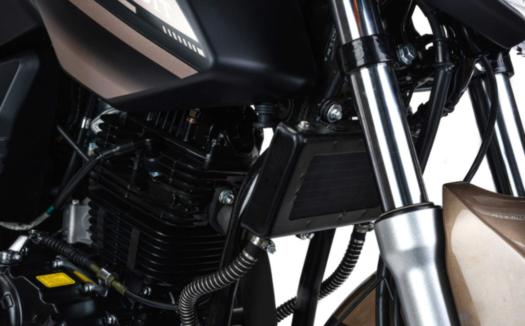 Мотоцикл MOTOLAND (МОТОЛЕНД) 300 BANDIT в Петропавловске-Камчатском