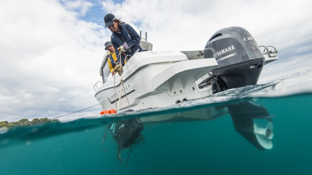 ЛОДОЧНЫЙ МОТОР YAMAHA F130 AETX в Петропавловске-Камчатском