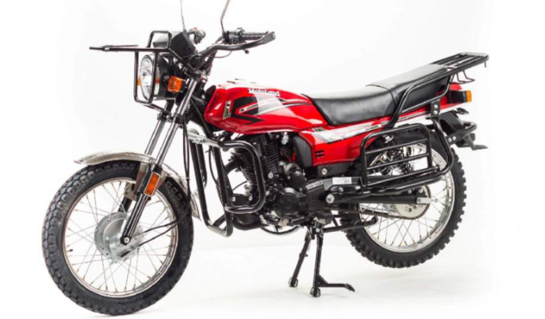 Мотоцикл MOTOLAND (МОТОЛЕНД) FORESTER LITE 200 в Петропавловске-Камчатском