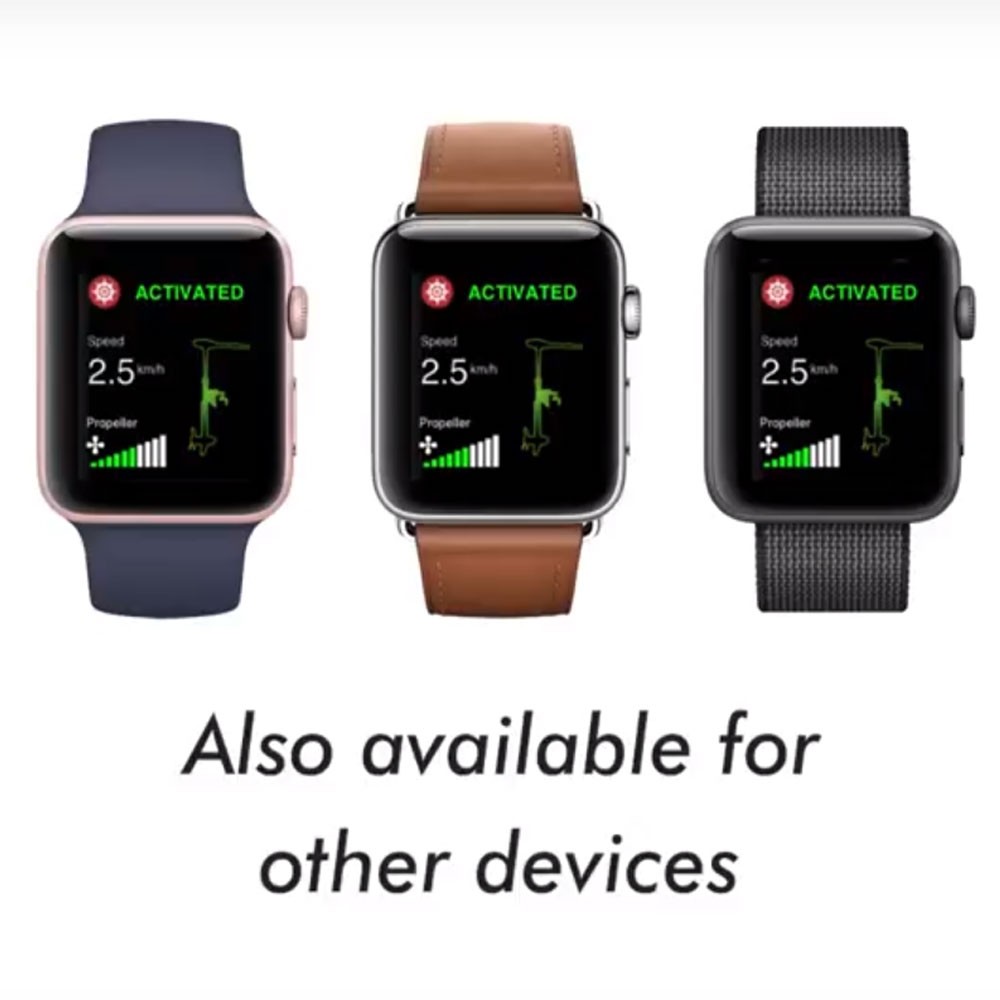 Лодочный электромотор якорь Haswing Cayman B, GPS, 12V, 55Lbs, нога 137 мм в Петропавловске-Камчатском