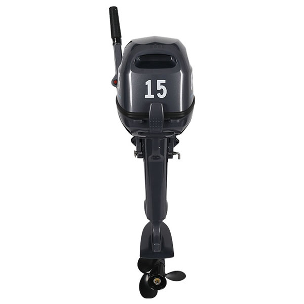 ЛОДОЧНЫЙ МОТОР ALLFA CG Т15 в Петропавловске-Камчатском