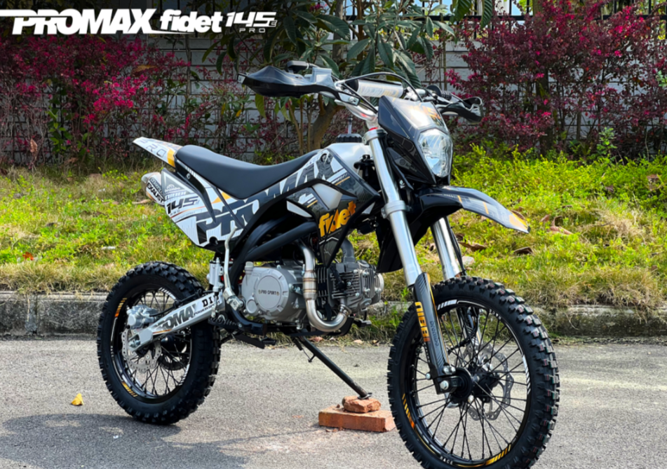 Мотоцикл (питбайк) PROMAX FIDET (ФАЙДЕТ) 145E PRO 17/14 в Петропавловске-Камчатском