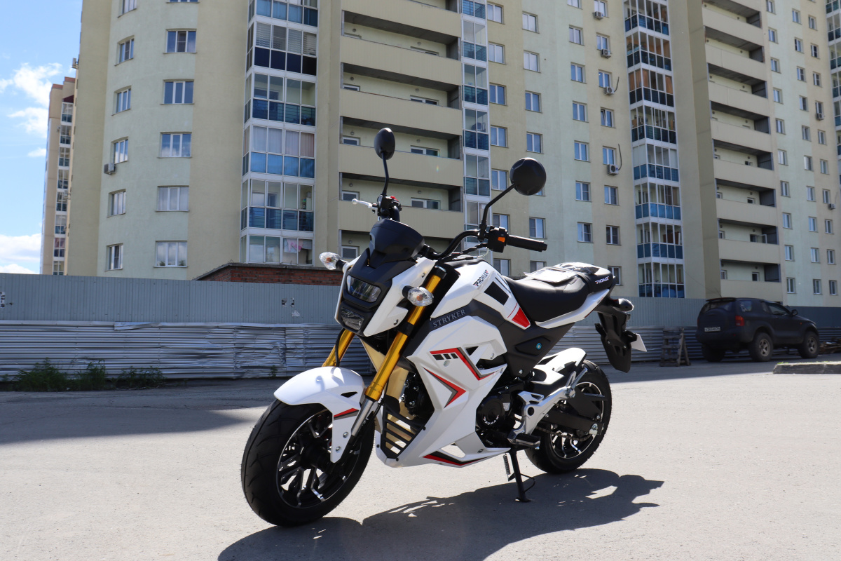 Мотоцикл PROMAX STRYKER 200(49) 2.0 в Петропавловске-Камчатском