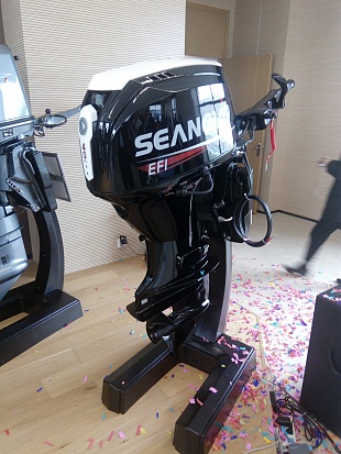 Лодочный мотор SEANOVO SN75FHL-D в Петропавловске-Камчатском