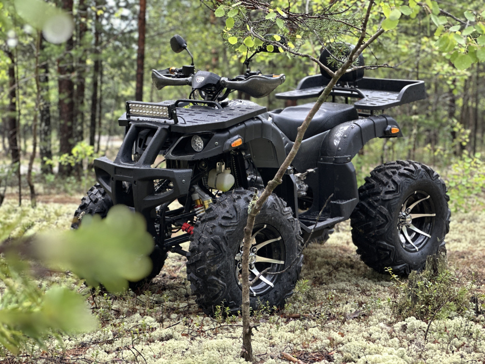Квадроцикл PROMAX 320 DOMINATOR (2025) в Петропавловске-Камчатском