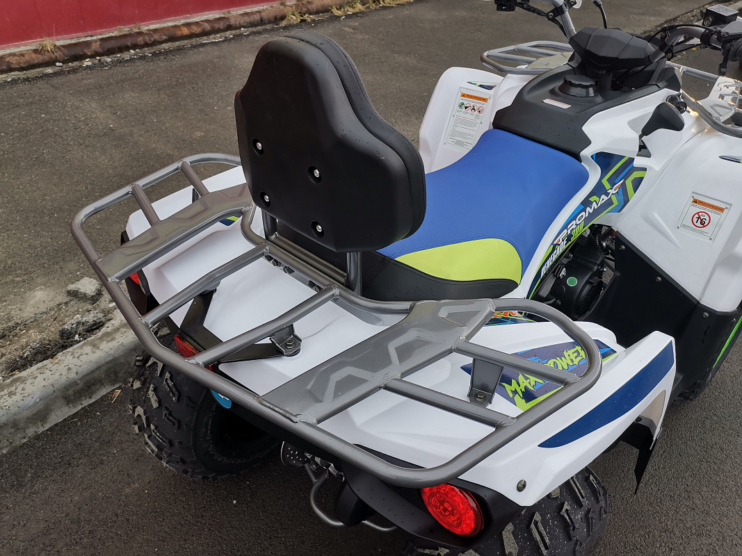 Квадроцикл PROMAX RENEGADE 280 LUX (2025) в Петропавловске-Камчатском
