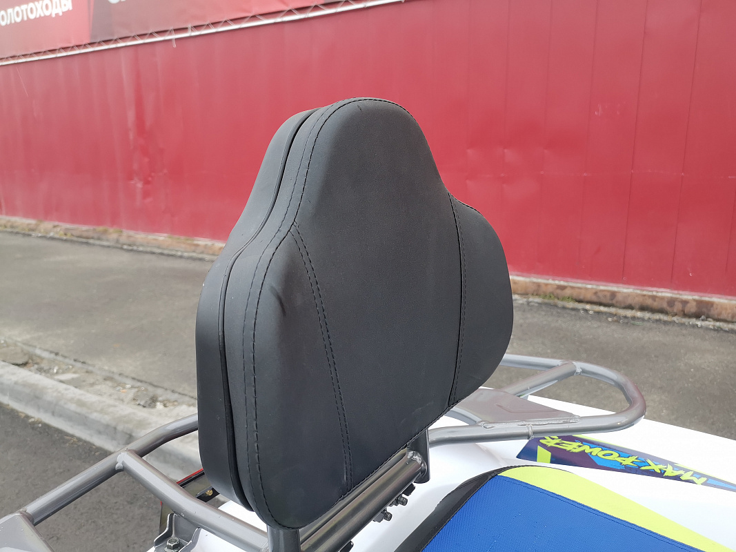 Квадроцикл PROMAX RENEGADE 280 LUX (2025) в Петропавловске-Камчатском