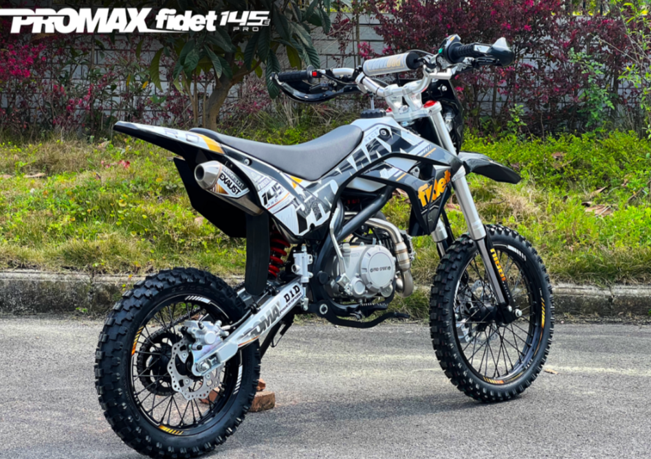 Мотоцикл (питбайк) PROMAX FIDET (ФАЙДЕТ) 145E PRO 17/14 в Петропавловске-Камчатском