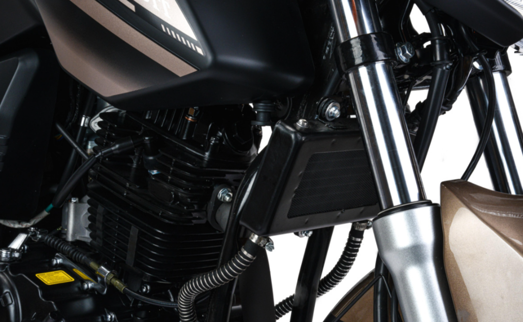 Мотоцикл MOTOLAND (МОТОЛЕНД) 300 BANDIT в Петропавловске-Камчатском