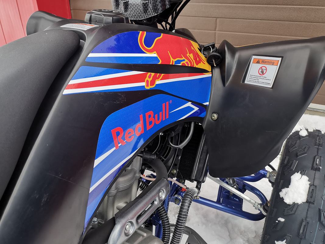 Квадроцикл PROMAX RAPTOR 300 NEW RedBull в Петропавловске-Камчатском