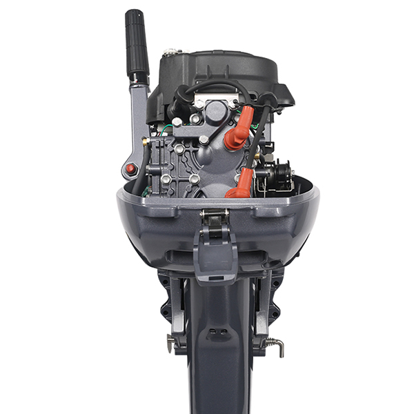 ЛОДОЧНЫЙ МОТОР ALLFA CG Т9,9 Limit в Петропавловске-Камчатском