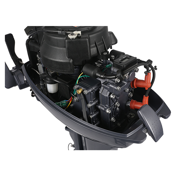 ЛОДОЧНЫЙ МОТОР ALLFA CG Т15 в Петропавловске-Камчатском