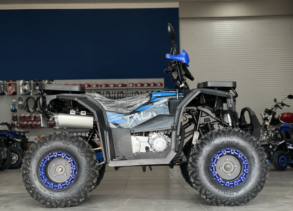 Квадроцикл PROMAX TAURUS 300 в Петропавловске-Камчатском