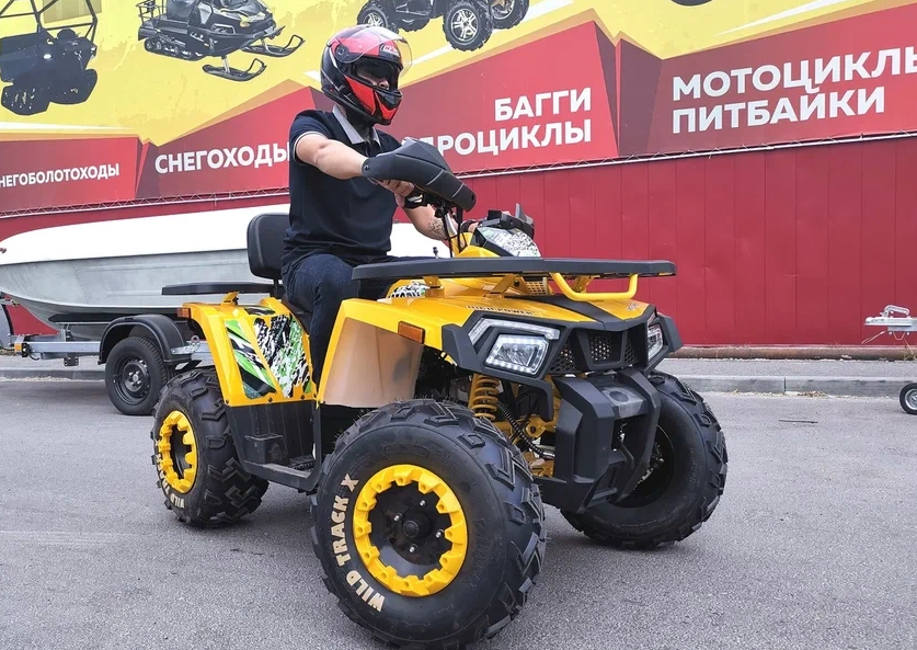 Квадроцикл PROMAX STORM 280 LUX в Петропавловске-Камчатском