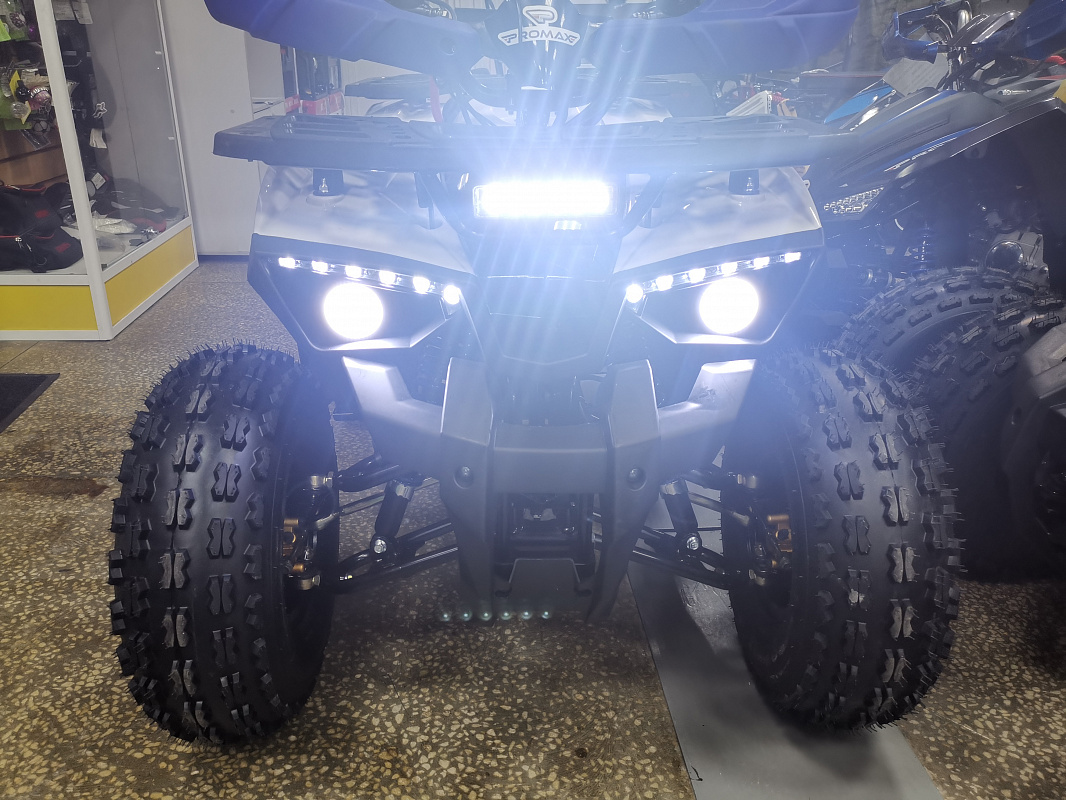 Квадроцикл PROMAX WILD 175 LUX в Петропавловске-Камчатском