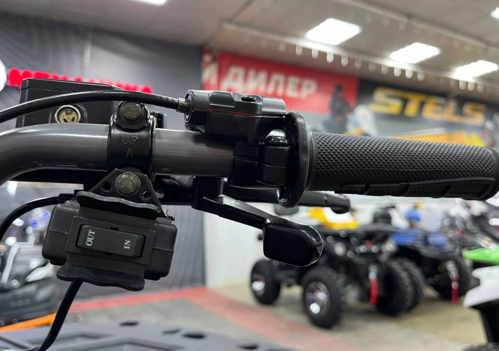 Квадроцикл PROMAX RENEGADE 300 LONG WINCH PRO (2025) в Петропавловске-Камчатском