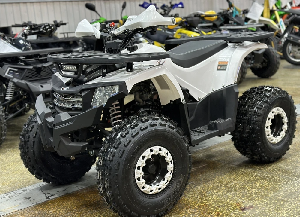 Квадроцикл PROMAX WILD 2.0 190 в Петропавловске-Камчатском