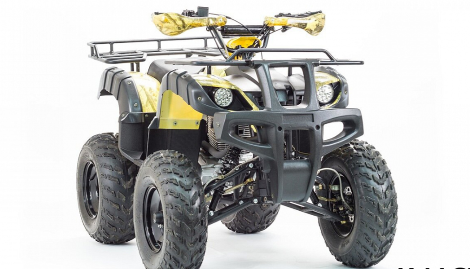 Квадроцикл MOTOLAND (МОТОЛЕНД) 250 ADVENTURE в Петропавловске-Камчатском