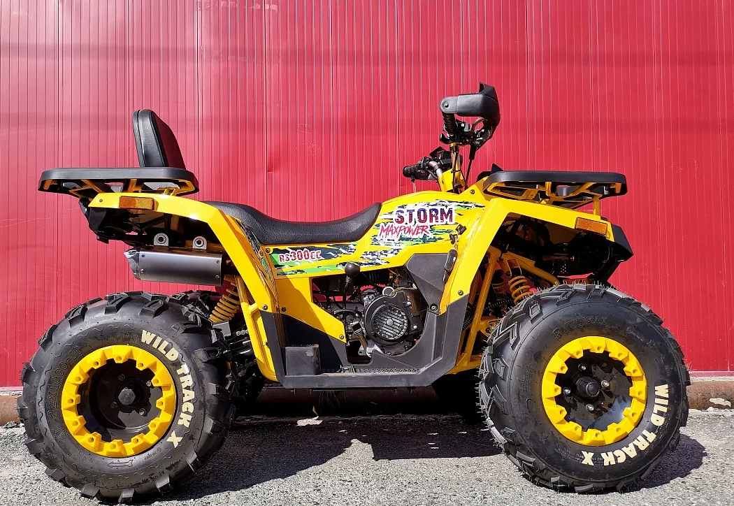 Квадроцикл PROMAX STORM 280 LUX в Петропавловске-Камчатском