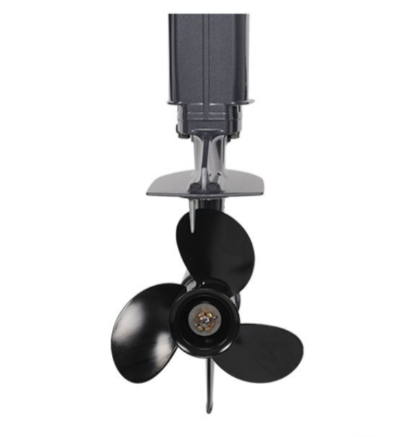 Лодочный мотор ALLFA CG Т40FW S в Петропавловске-Камчатском