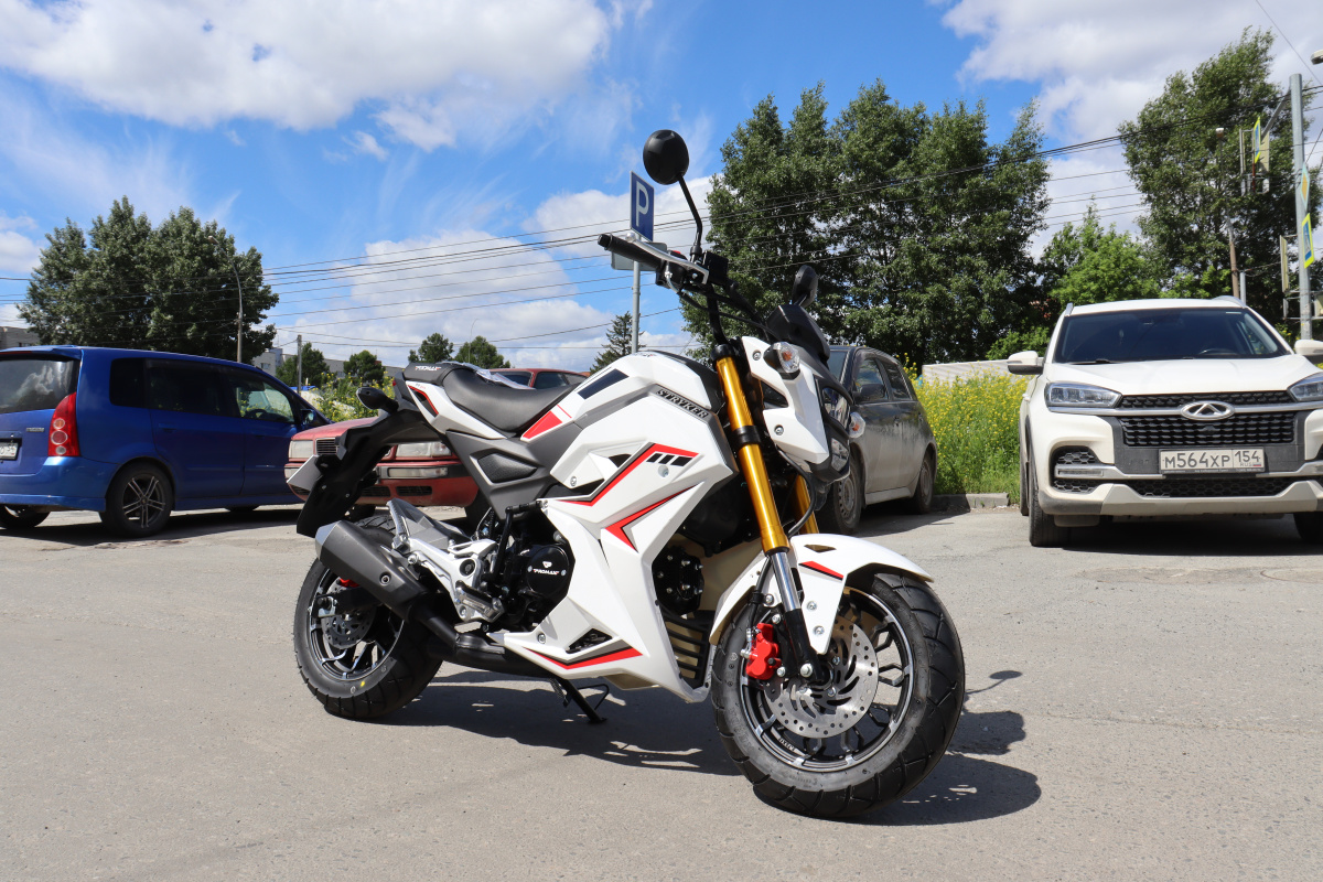 Мотоцикл PROMAX STRYKER 200(49) 2.0 в Петропавловске-Камчатском