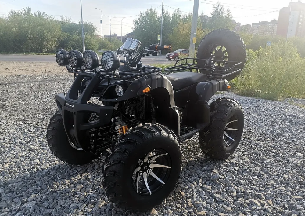 Квадроцикл PROMAX LEO 300 Max (кардан) в Петропавловске-Камчатском