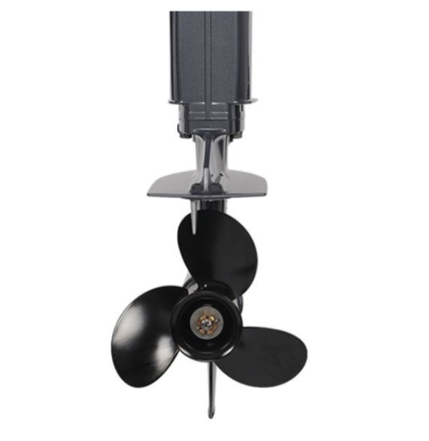 Лодочный мотор ALLFA CG Т40FWT S в Петропавловске-Камчатском