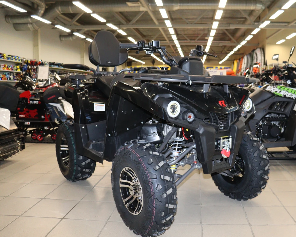 Квадроцикл PROMAX RENEGADE 300 LONG WINCH PRO (2025) в Петропавловске-Камчатском