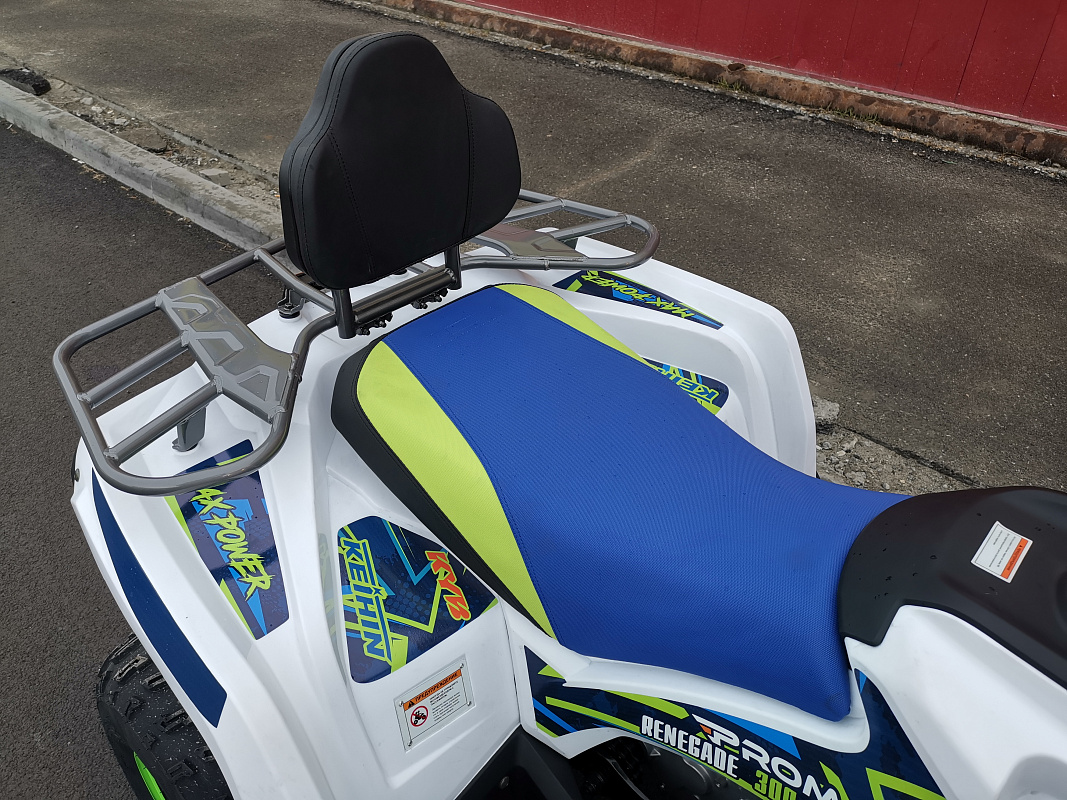 Квадроцикл PROMAX RENEGADE 280 LUX (2025) в Петропавловске-Камчатском