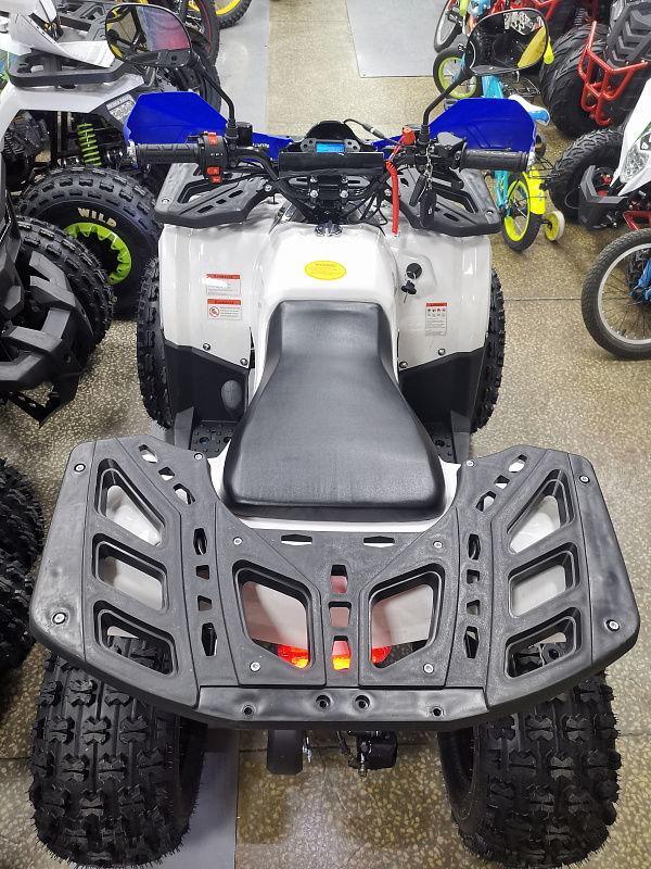 Квадроцикл PROMAX WILD 175 LUX в Петропавловске-Камчатском