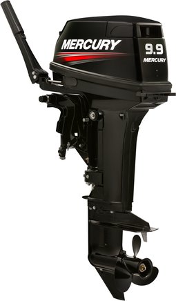 ЛОДОЧНЫЙ МОТОР MERCURY 9.9 MH TMC 247 CC в Петропавловске-Камчатском