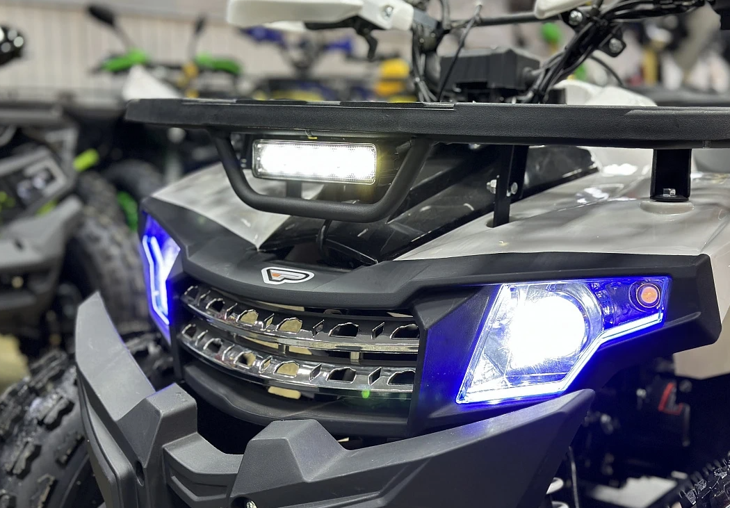 Квадроцикл PROMAX WILD 2.0 190 в Петропавловске-Камчатском