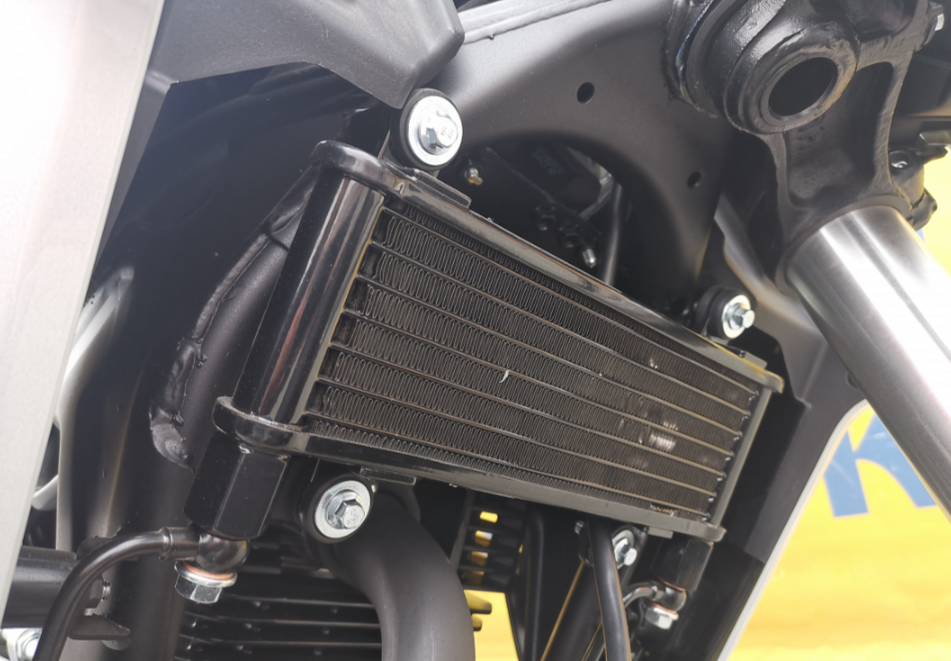 Мотоцикл MOTOLAND (МОТОЛЕНД) 250 CB250 (172FMM-5/PR250) (2022 г.) в Петропавловске-Камчатском