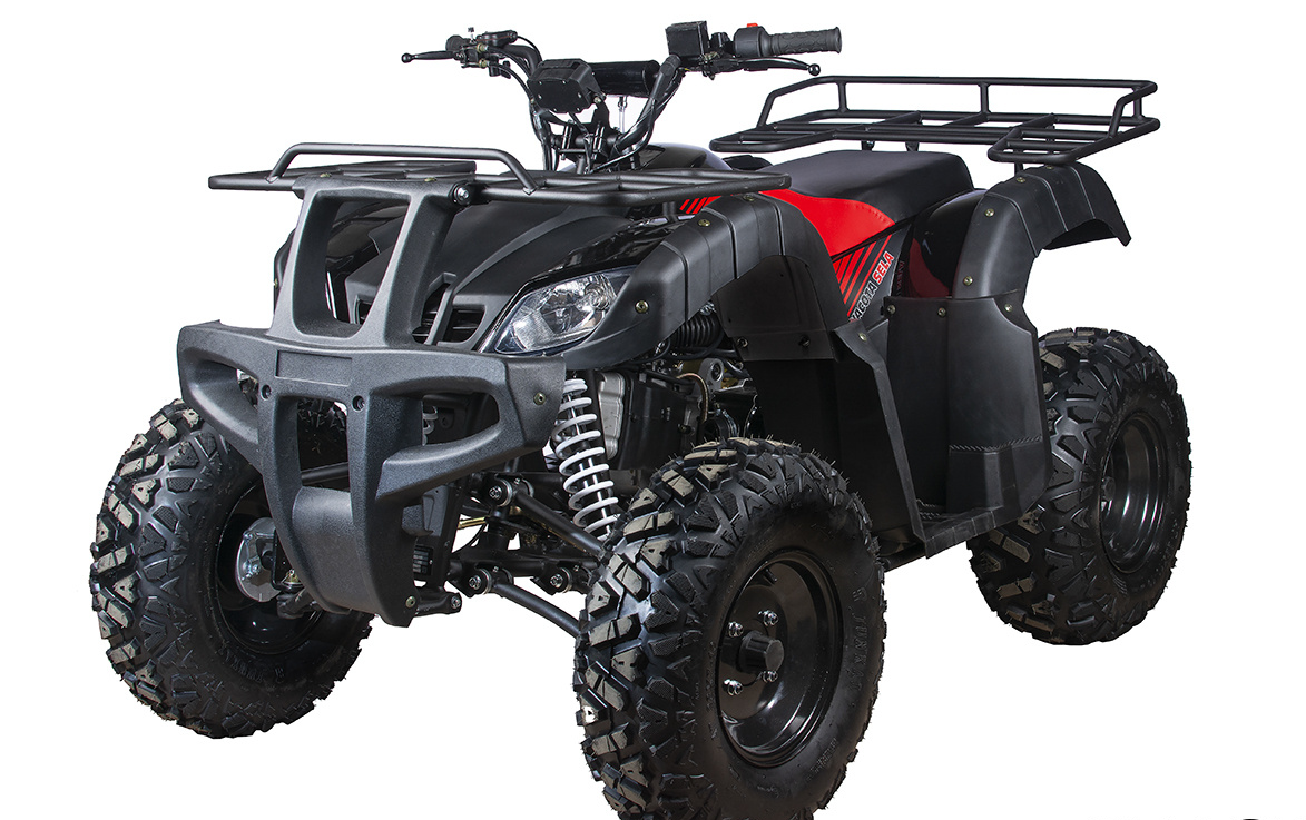 Квадроцикл YACOTA SELA 200 в Петропавловске-Камчатском