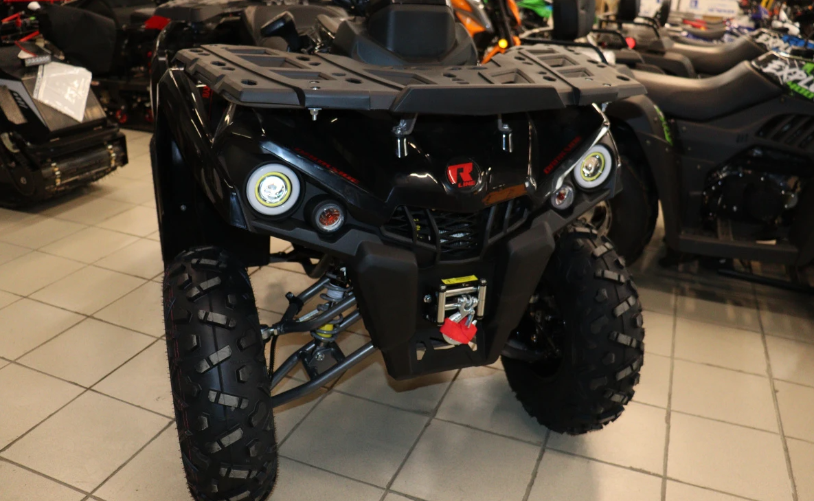 Квадроцикл PROMAX RENEGADE 300 LONG WINCH PRO (2025) в Петропавловске-Камчатском