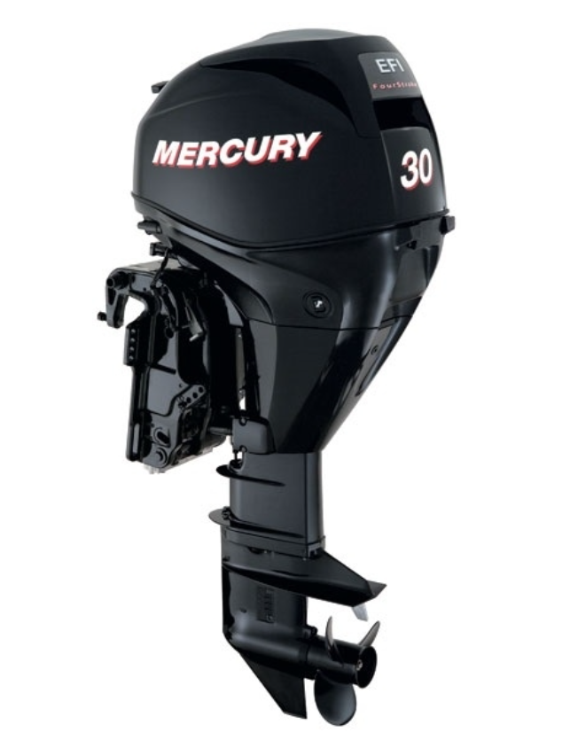 ЛОДОЧНЫЙ МОТОР MERCURY  F 30 ELH GA EFI в Петропавловске-Камчатском