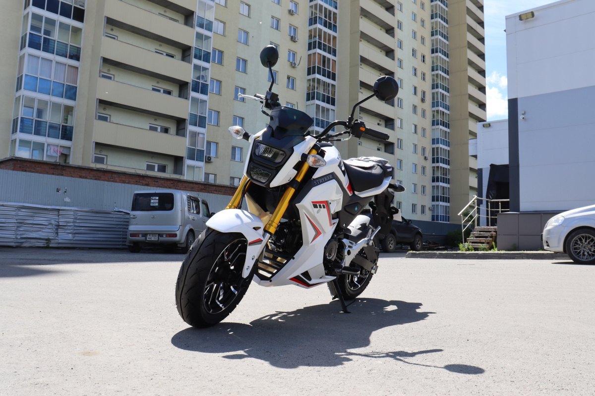 Мотоцикл PROMAX STRYKER 200(49) 2.0 в Петропавловске-Камчатском
