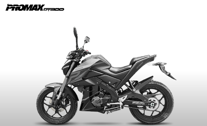 Мотоцикл PROMAX MT300 в Петропавловске-Камчатском