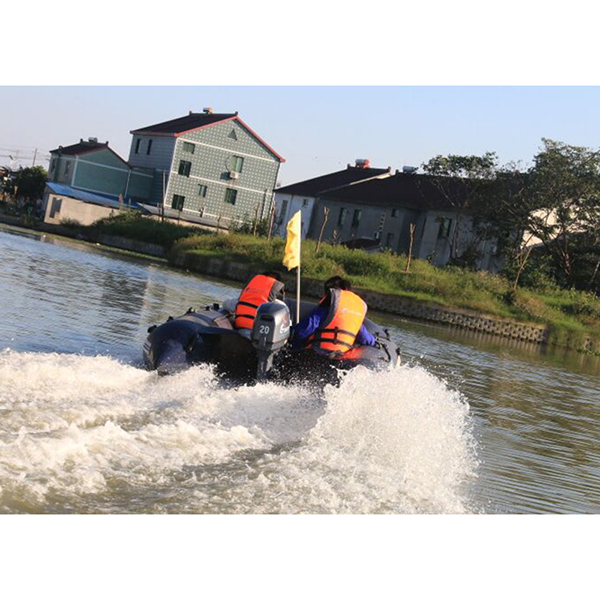 ЛОДОЧНЫЙ МОТОР ALLFA CG Т20 в Петропавловске-Камчатском