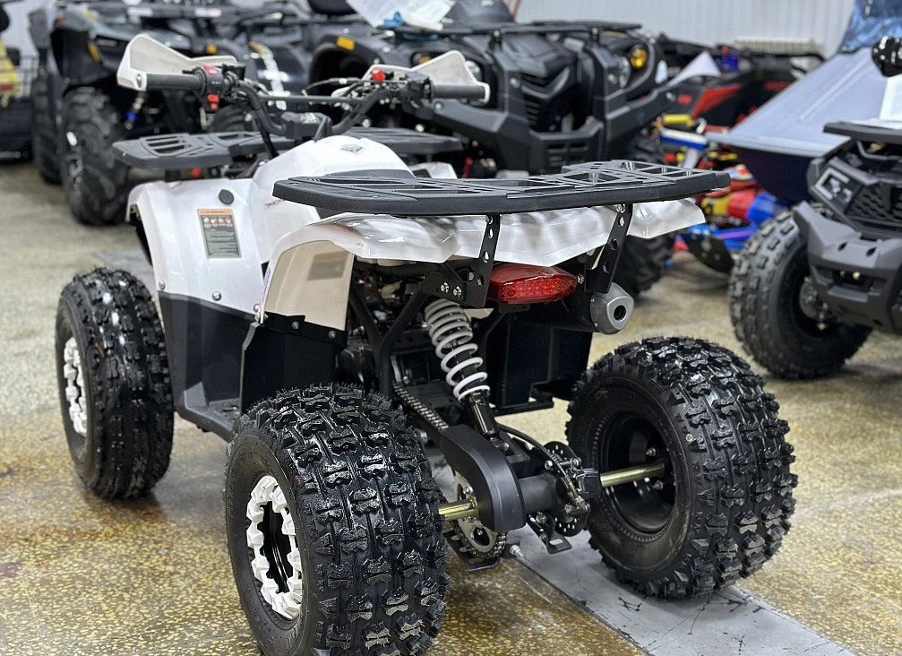 Квадроцикл PROMAX WILD 2.0 190 в Петропавловске-Камчатском