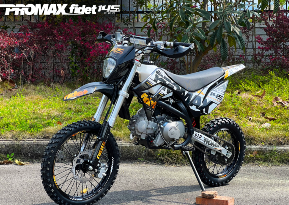 Мотоцикл (питбайк) PROMAX FIDET (ФАЙДЕТ) 145E PRO 17/14 в Петропавловске-Камчатском
