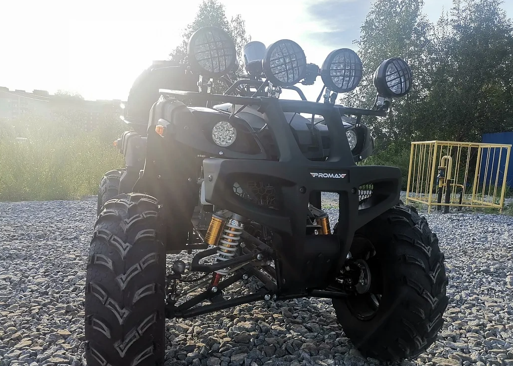 Квадроцикл PROMAX LEO 300 Max (кардан) в Петропавловске-Камчатском